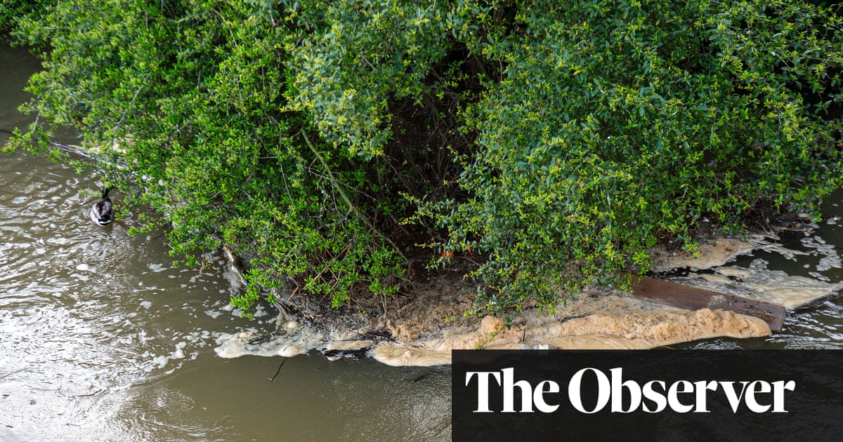 The Observer view: there is still a way to save Thames Water from financial oblivion - The Guardian