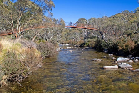 A wide image of a cyclist riding over a suspension bridge over a river on the Thredbo Valley Track