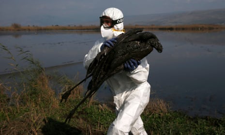 A person in a hazmat suit carries a dead bird in a marsh