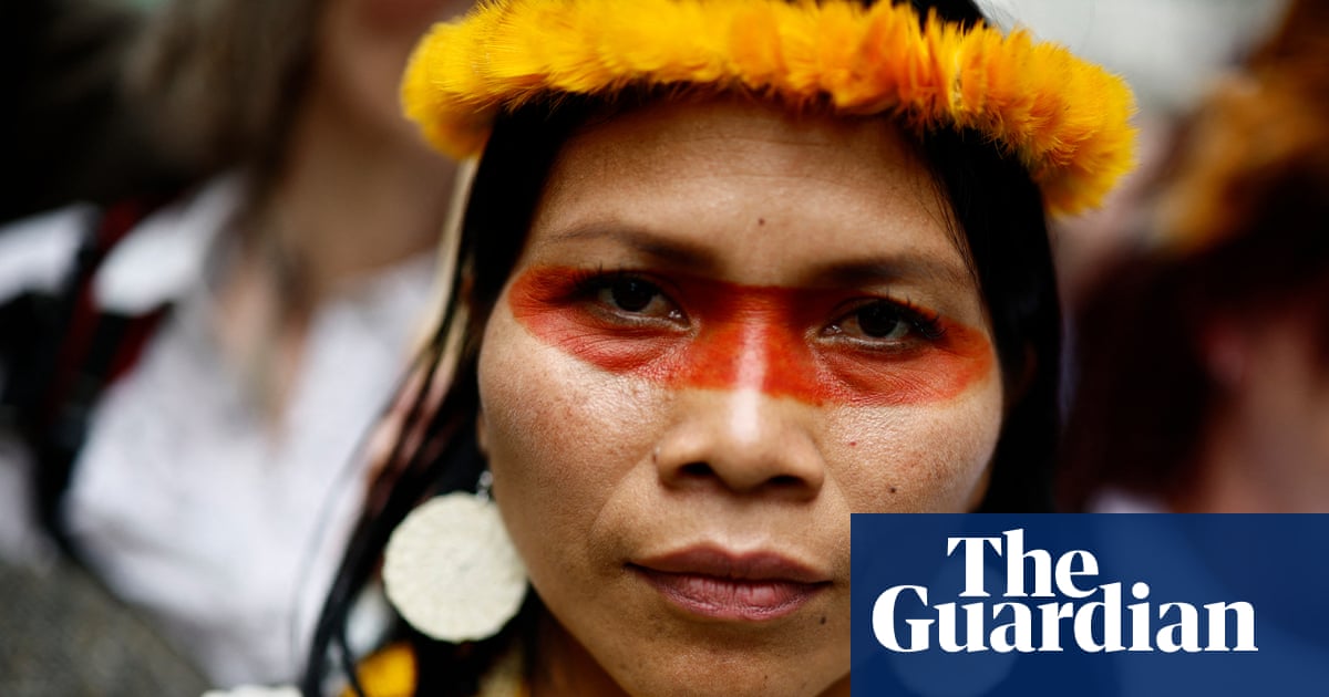 ‘I am mother, leader, warrior of the Amazon’: Nemonte Nenquimo on why the west needs to be rescued