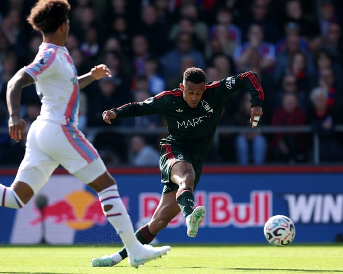 Crystal Palace v Nottingham Forest, Hull v Everton, Southampton 1-0 Portsmouth: football – live