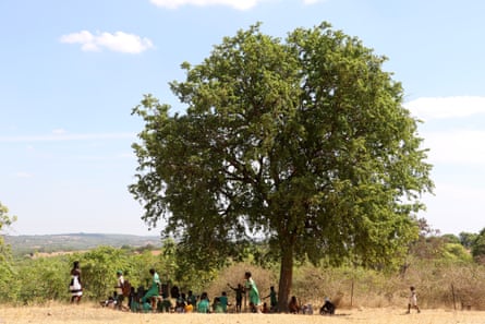 Pupils of Kazangarare primary school in Hurungwe shelter from the sun under a tree