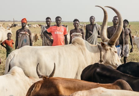 A grande divisão dos elefantes em África: os países enfrentam demasiados elefantes – ou poucos