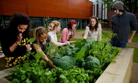 Sowing the seed: Students from the urban gardening society at Manchester Metropolitan University.