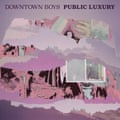 The artwork for Public Luxury