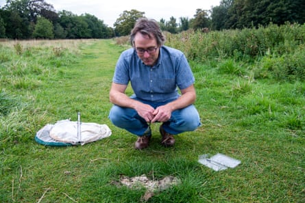 A man kneels down in a field in front of cow dung