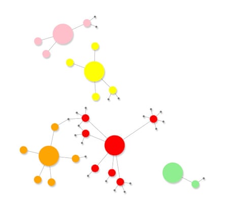 Data visualisation of interconnected multicoloured nodes