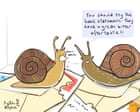 Snail ate your mail? Why gastropods munch paper – and how to stop them