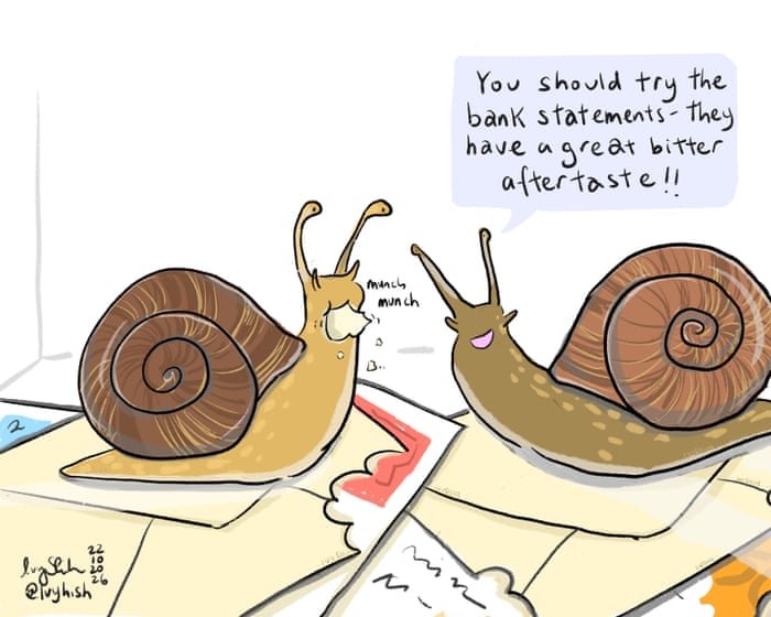 Snail ate your mail? Why gastropods munch paper – and how to stop them