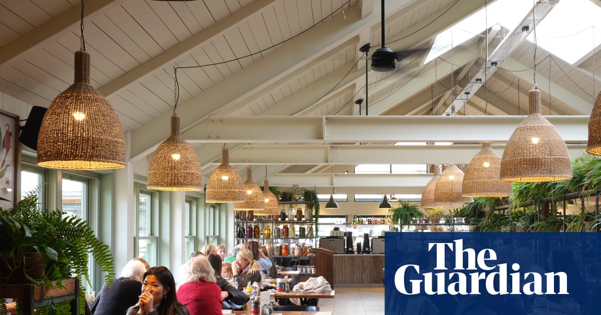 Tin Roof Cafe, Maldon, Essex: Come for topsoil, stay for the shortbread' review