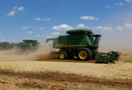 A July wheat harvest in the Russian-controlled Donetsk region.