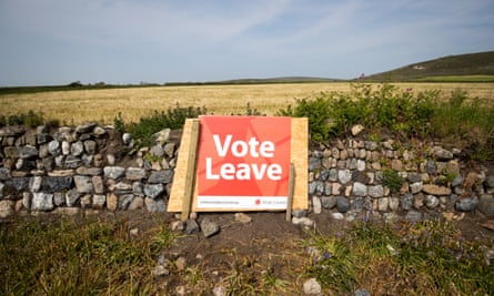 A Vote Leave poster is seen in a field.