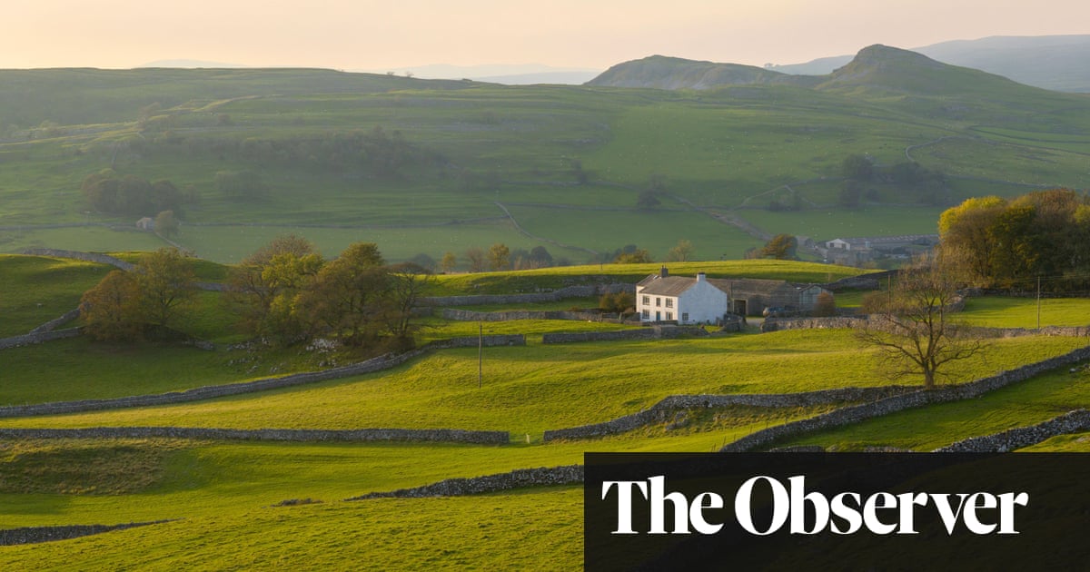 Universality by Natasha Brown review a fabulous fable about the politics of storytelling