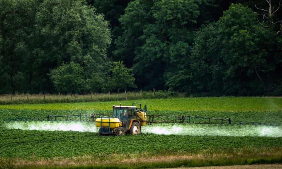 An EU has committee voted unanimously for the first ever ban on endocrine-disrupting herbicides.
