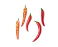 05a Felicity Cloake’s piri piri chicken chillies. Fresh piri piri chillies are hard to come by in the UK, though they’re sometimes available online, but any fiery ripe (red) variety will do, and I think fresh work better than the dried kind. Exercising caution, or wearing gloves, roughly chop, discarding the stalk but including the seeds.