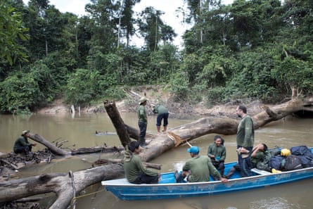 Members of the Funai expedition team use an axe to clear a fallen tree from their route