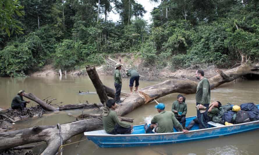 Members of the FUNAI expedition team clear the fallen tree which was preventing the navigation up the Rio Sapota towards the starting point of the expedition to trace the movements of un-contacted people in 2018