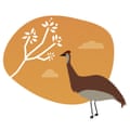 Illustration of emu