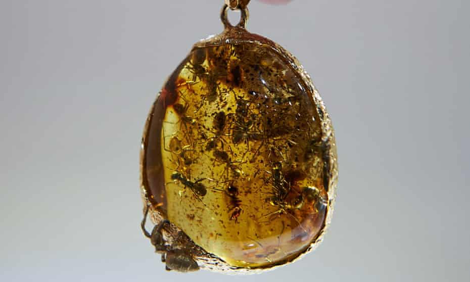 An amber pendant with an inclusion of 20 ants at the Amberif trade fair.