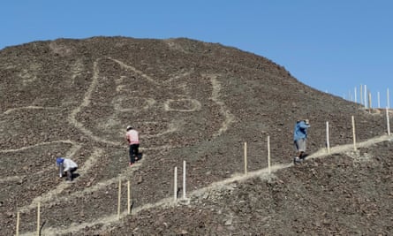 A 37-meter kitten: a new figure appears among the Nazca geoglyphs.