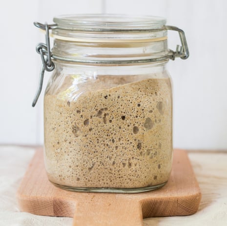 Help! What can I make with my waste sourdough starter? | Food ...