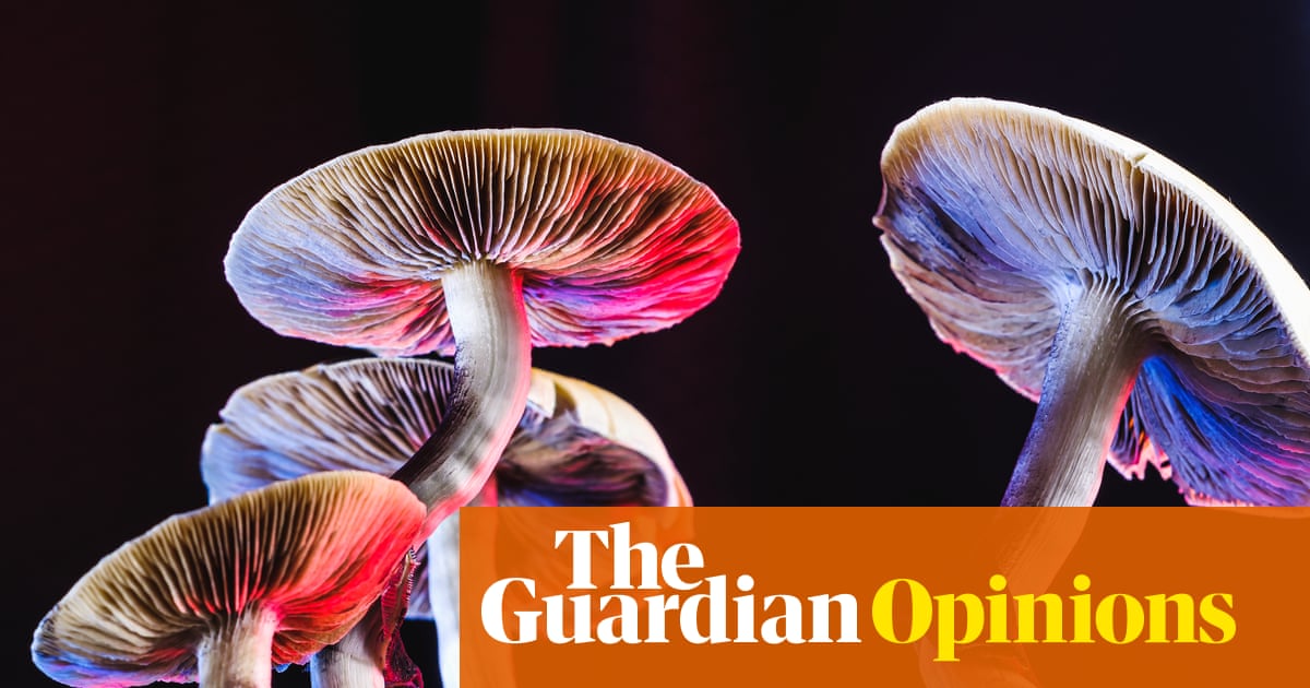 Psychedelics can change humanity for the better. It’s time to unlock their power | Rick Doblin