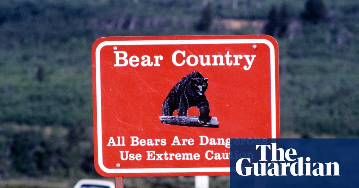 Glacier National Park Bear Attack Highlights Need for Responsible Wilderness Management