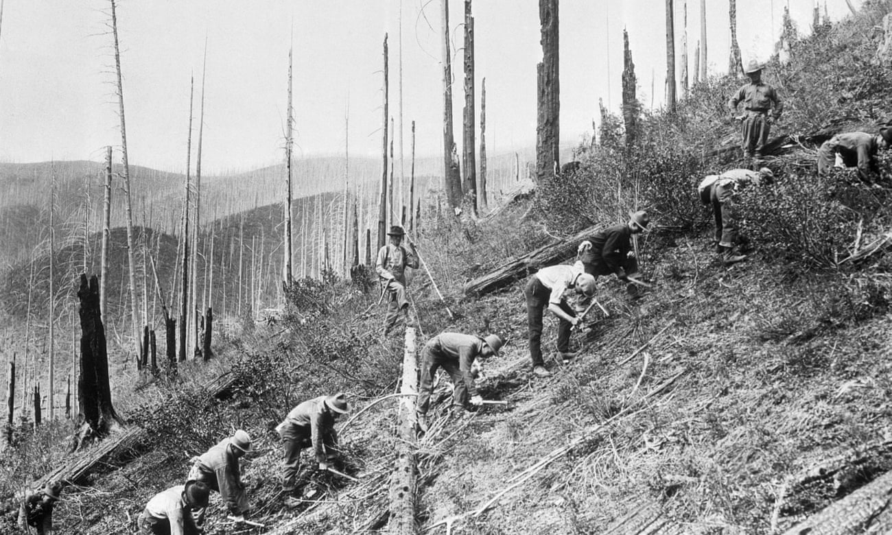 A group of Civilian Conservation Corps members plant seedlings on a clear-cut hillside in Oregon.