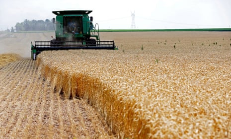 A wheat farm in Dixon, Illinois. With the global population set to rise to more than 9bn by 2050, the UN estimates food production will have to increase by about 70%.