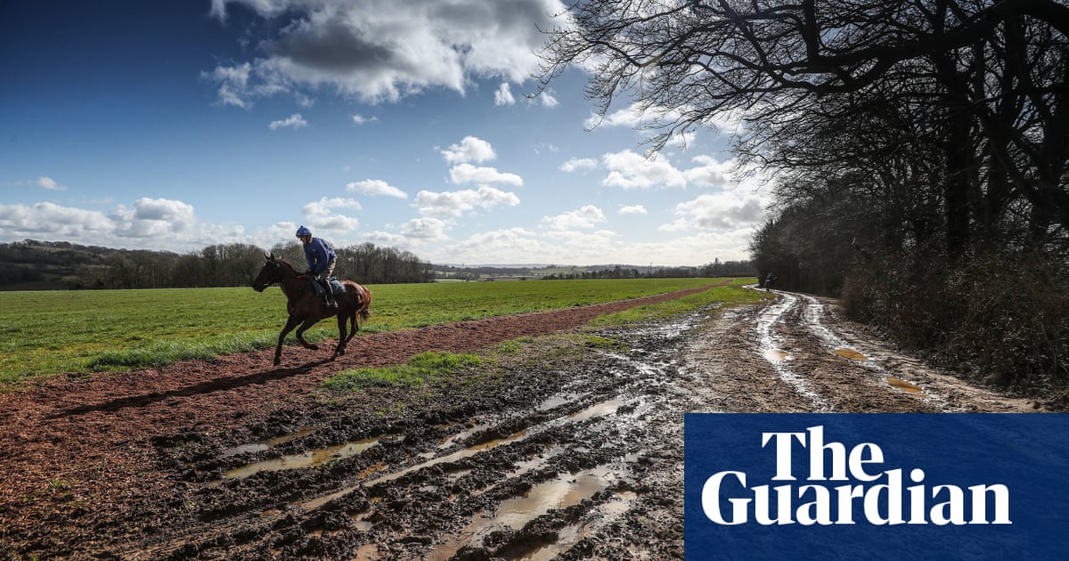 Talking Horses: Colin Tizzard blames sticky ground for recent defeats