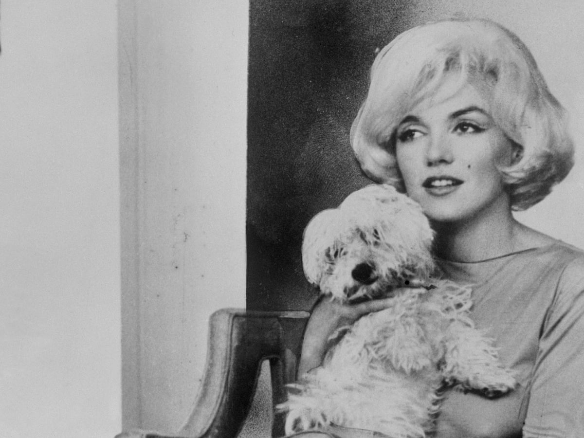 From Marilyn Monroe To The Manson Family The Dark Side Of Hollywood Podcasts Of The Week Podcasts The Guardian From Marilyn Monroe To The Manson Family The Dark Side Of Hollywood Podcasts Of The Week Podcasts The Guardian