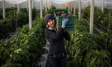 Romanian women, such as Nicoleta Bolos, work in terrible conditions in Ragusa greenhouses and many are abused by the owners.