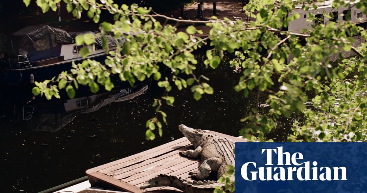‘Witty, engaging and absurd’: LensCulture critics’ choice award winners – in pictures