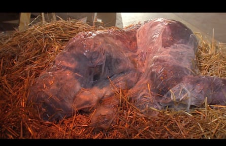 A performance artist plays a slime-covered Jesus in a manger