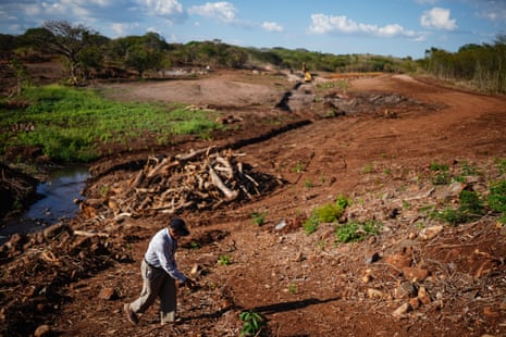Un hombre camina entre pilas de troncos en un paisaje sin árboles.
