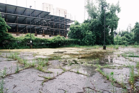 Water pools on cracked concrete surrounded by overgrown vegetation
