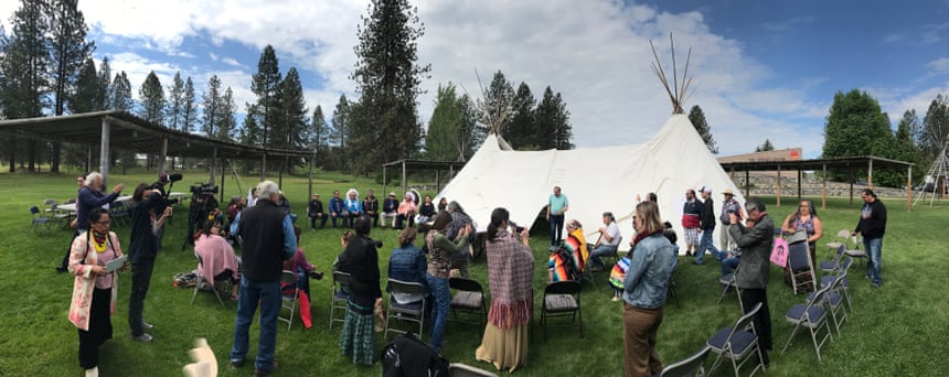 How Native American tribes are bringing back the bison from brink of ...