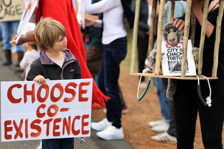 A boy looks at a stuffed baboon toy inside a makeshift cage. He is holding a sign saying ‘choose coexistence’.