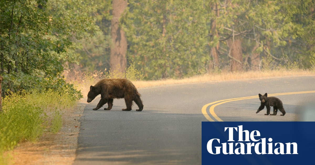 3807.jpg?width=1200&height=630&quality=8