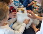 These robot cats have glowing eyes and artificial heartbeats – and could help reduce stress in children These robot cats have glowing eyes and artificial heartbeats – and could help reduce stress in children
