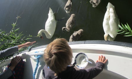 Le plus jeune fils de l'écrivain aime nourrir une famille de cygnes depuis le bateau