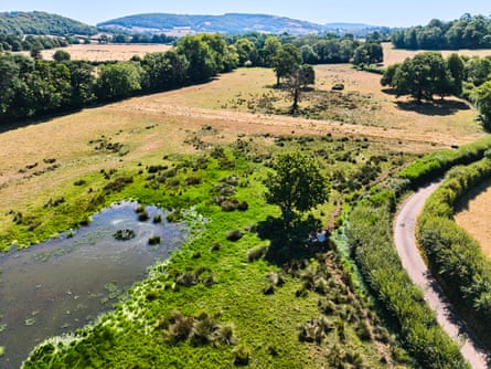Aerial view of a green wetland with pools of open water beside a farm track and brown grass fields, bordered by hedgerows.