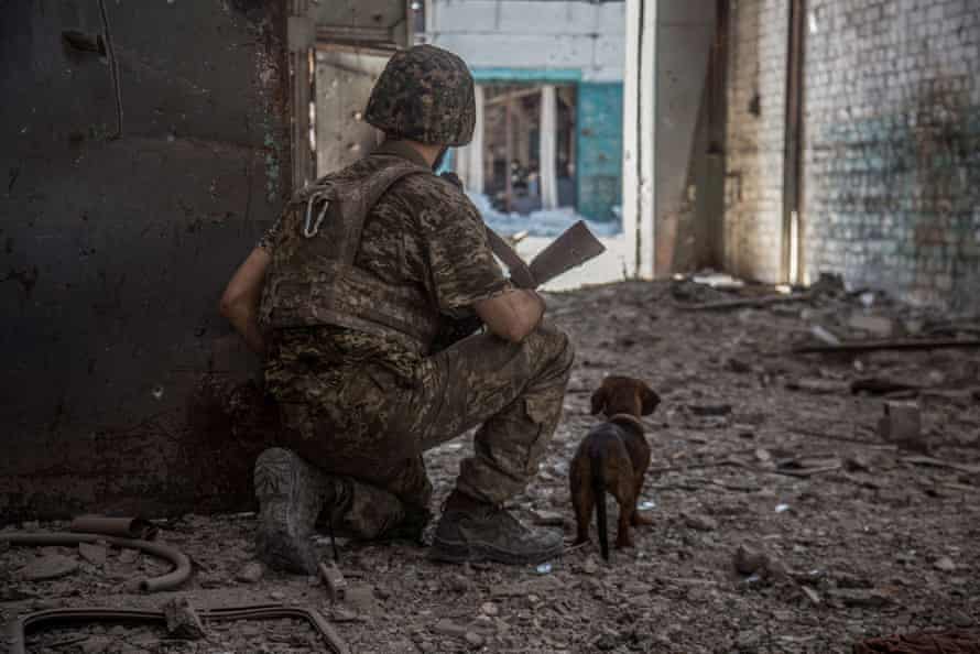 A Ukrainian service member with a dog seen in the ruined eastern Ukrainian city of Sievierodonetsk.