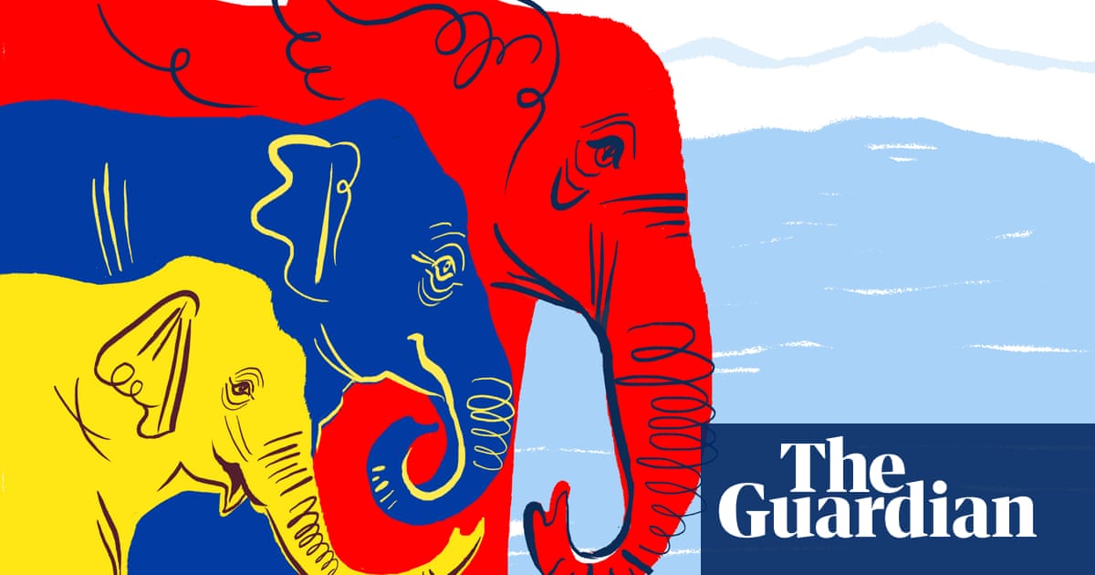 What Can I Do To Help Elephants Environment The Guardian
