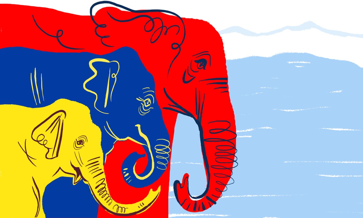 What Can I Do To Help Elephants?' | Wildlife | The Guardian