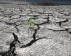 August was joint-hottest month ever recorded globally