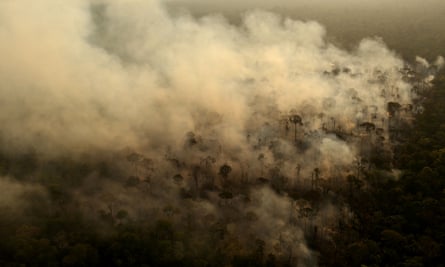 Smoke from a fire in an area of the Amazon rainforest near Porto Velho, Brazil.