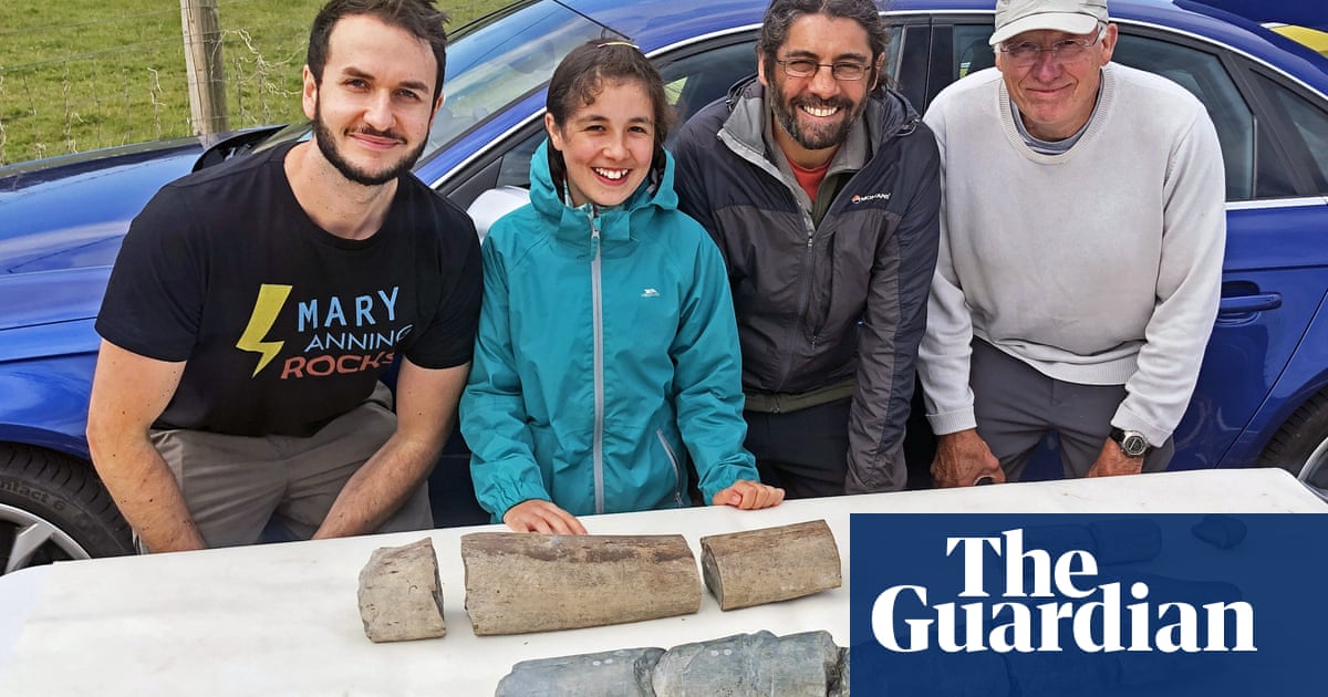 Fossils discovered by an 11-year-old girl on a beach in Somerset may have come from the largest marine reptile ever to have lived, according to expert