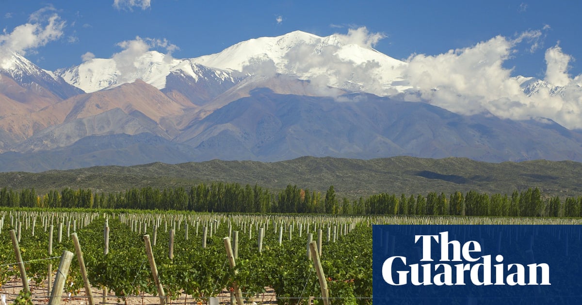This must be the place: the rise of single-vineyard wines
