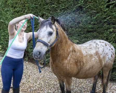 A woman hoses water on to a pony's head